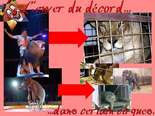 Comme se délivrer vite des helminthes les rappels